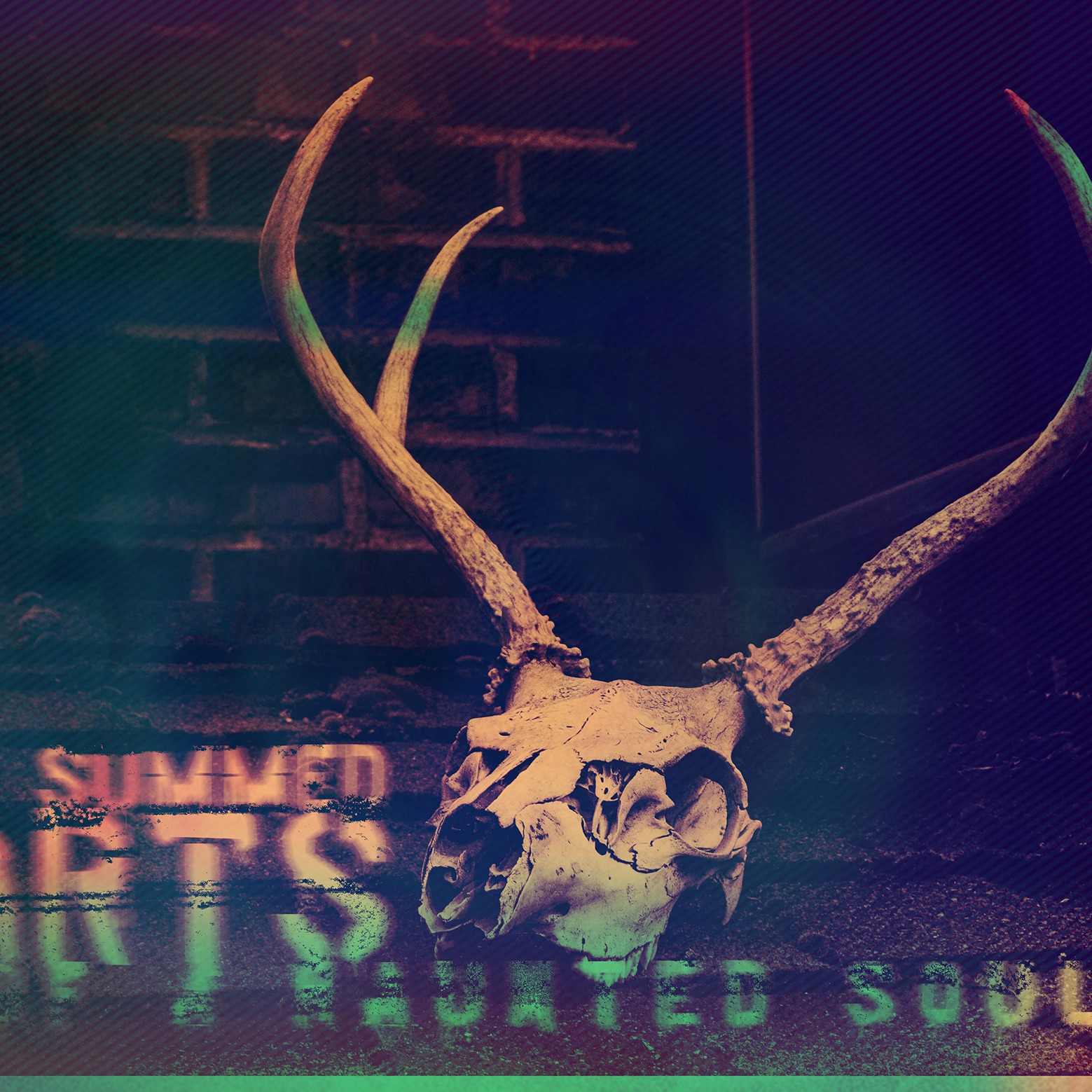 summed parts of a haunted soul